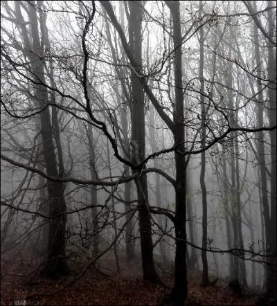 Nous voici arrivés au terme de notre récit épique, qui, nous l'espérons, vous aura satisfait. Comment aurait-on pu continuer le récit ? Comment désormais détruire ce neuvième Horcruxe ?