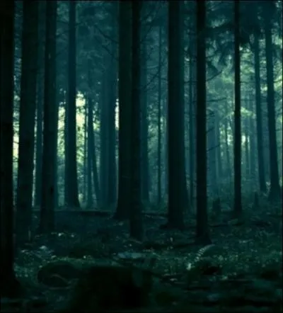 - Donc Voldemort respire ! Brasier ravivé ! 
Qu'il s'agisse d'un Horcruxe en cela je persiste. 
Dernière flamme éternelle ! L'étincelle qui subsiste ! 
Du côté de Godric nous devrions sonder

Les effets de Gryffondor sont tous connus ; pourquoi Rogue s'entête-t-il à continuer sur cette piste ?