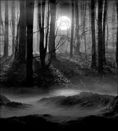 - Tout était juste, alors ! Belle ironie du sort ! 
Un morceau de son âme dans ma chambre à coucher 
Le retient en vie. Ah ! Mais quel est ce trophée ? 

- Un bijou. Un collier ! Celui de Gryffondor 
Qu'Orion étouffa au-dessous d'un tas d'or.
Nous devons le chercher et le temps s'évapore

Quelle chambre forte nos deux héros vont-ils devoir forcer ?