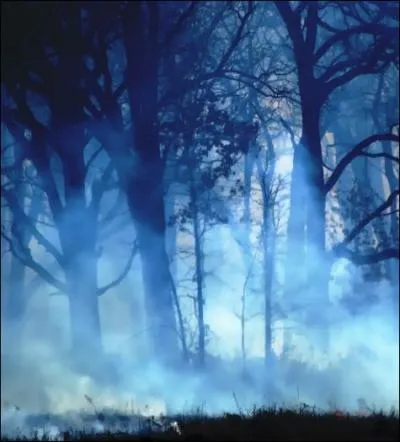 - Aiguisons nos transports, affûtons l'ustensile
Qui servira de lame pour notre uvre subtile.
Cette dague acérée de Ragnuk le Troisième
Ne pourrait-elle point parfaire le stratagème ?

Quand Ragnuk Ier, grand-père du créateur de cette dague, a-t-il vécu ?