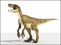 Quel est le nom de celui-ci ?