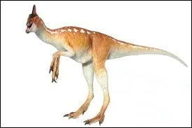 Quel est le nom de ce dinosaure ?