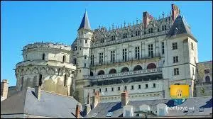 Voici un des châteaux de la Loire, c'est ici qu'un roi de France de 27 ans se cogna la tête au linteau d'une porte et en mourut un peu plus tard.