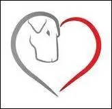 Restez vigilant, c'est le moment d'avaler un bouillon, oui, mais lequel ?