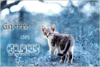 Quel est son défaut ? (retour question n°3) (cycle 3)