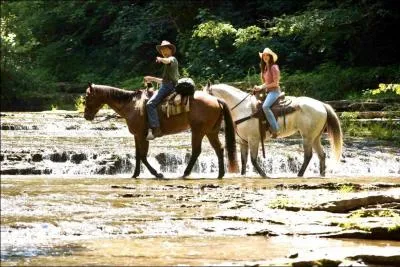 Dans le film, comment s'appelle le garon  ct de Miley ?