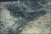 Le dernier avion à s'écraser le fut à Shanksville. Il a percuté le sol à une vitesse de 933 km/h. Quelle est la profondeur du cratère laissé par l'avion ?