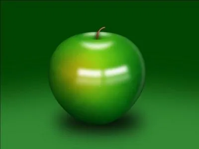 Mon premier indique une direction ; mon deuxième est aussi bien un objet qu'un jeu. Mon tout est une couleur asssociée aux plantes.