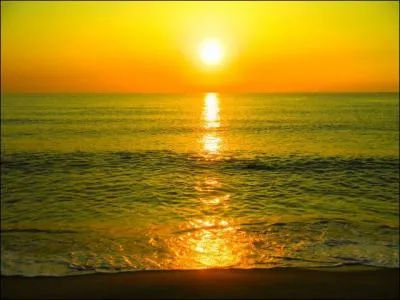 Mon premier est privatif ; mon deuxième ne t'appartient pas car elle est à moi ; mon troisième est très consommé en Chine ; mon quatrième est un pronom se rapportant, entre autres, aux noms de lieux ; et enfin mon cinquième trouve du calcium dans sa composition chimique. Mon tout est la couleur du soleil, du blé...