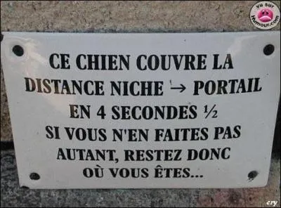 Comment nomme-t-on l'élevage et l'étude des chiens ?