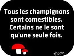 Comment appelle-t-on la culture des champignons ?