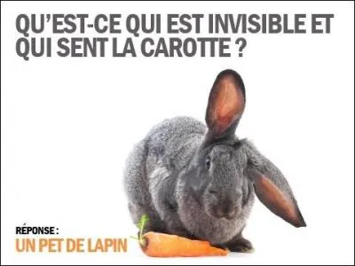 Comment appelle-t-on l'élevage des lapins ?