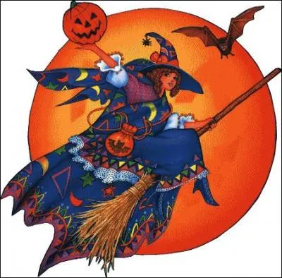 Élu dont le mandat vient à terme :