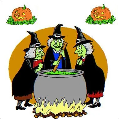 Graminée d'Afrique, alimentaire (gros mil) et fourragère :