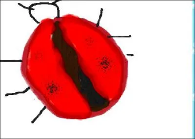 Oh quelle est mignonne cette... ?