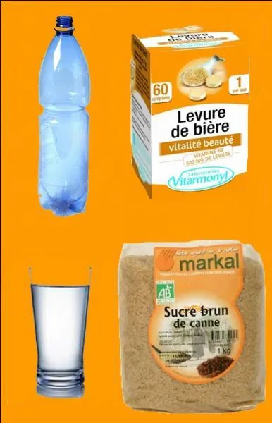 Quel piège peut-on fabriquer avec ces objets ?