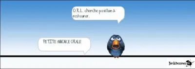 Si vous avez besoin de consulter un ORL... '