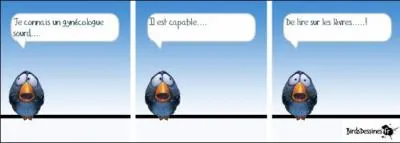 Les Français sont de plus en plus intéressés par leur arbre... '