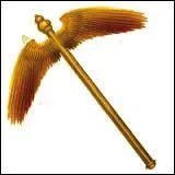 Quel est cet objet ?