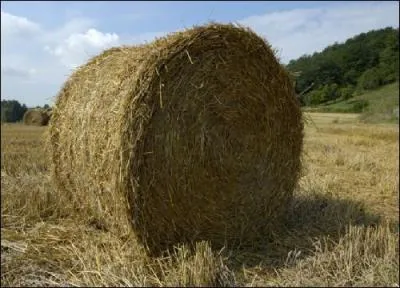 Trouvez ce titre : Angleterre, Hoffman, mathématicien !