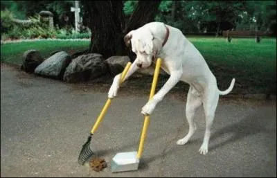 Ne mettez pas le pied dedans : Brochet, Berry, malchance !