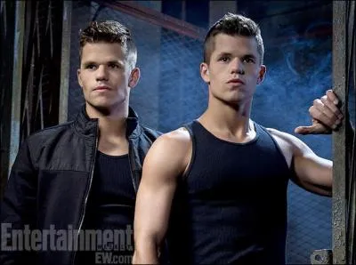 Teen Wolf : 
Dans quelle série, les acteurs qui jouent Aidan et Ethan sont-ils devenus célèbres ?