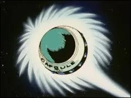 Quel groupe est parti dans le vaiseau pour la Namek ?