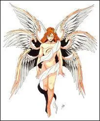 Dans la tradition, quels anges ont 6 ailes dont ils se couvrent le corps ?