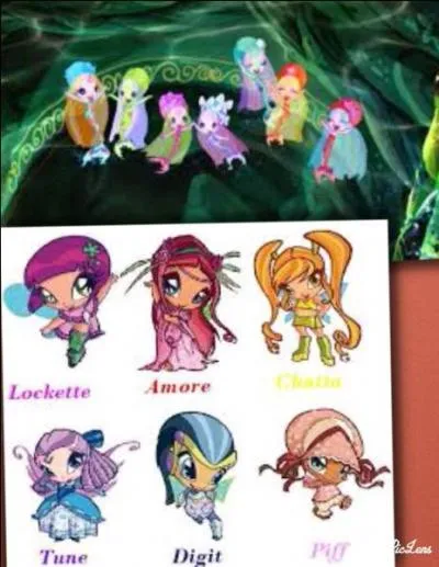 Qui sont les Selkis ?