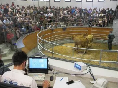 Le marché au cadran des Hérolles n'a pas eu lieu lundi. Pour quelle raison ?
