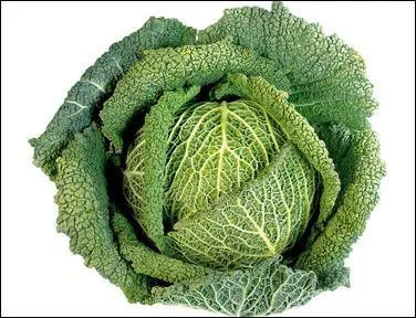 Hier soir, à la télévision, j'ai regardé, un film avec Louis de Funés, Jean Carmet et Jacques Villeret, c'était "La soupe aux...