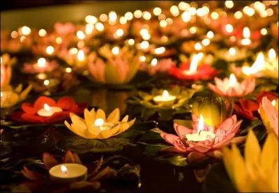 Mauvaise alimentation, nuisible à la santé :