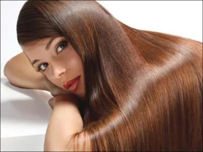 Combien de réseaux capillaires sont reliés par un même système porte ?