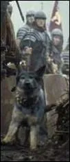 À quel général romain appartient ce chien dans le film "Gladiator" ?