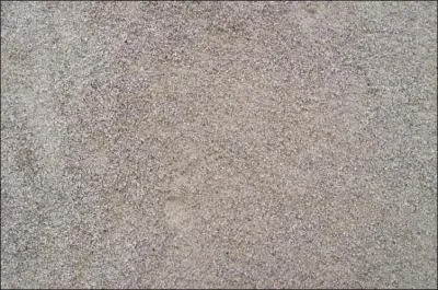 Que trouve-t-on parfois dans le sable ? Des paillettes ----.