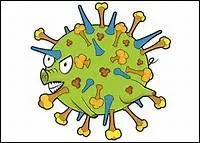 Quel est l'adjectif "tueur" parmi les trois propositions ?