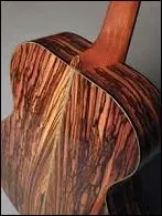 D'où provient ce splendide bois d'ébène réputé pour donner un son clair aux instruments de musique ?