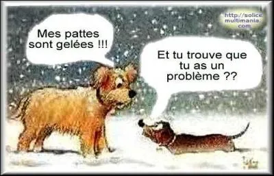 Si vous &ecirc;tes blanc comme neige, vous &ecirc;tes comment ?