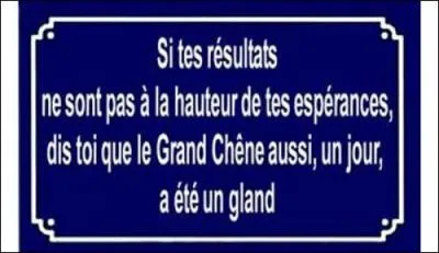 Qui nous chante : 'Noir, c'est noir, il n'y a plus d'espoir' ?