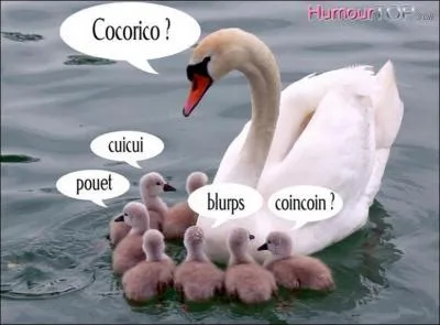 Est-ce qu'un cygne peut &ecirc;tre noir ?