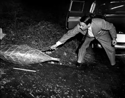 Dans ce film noir et effrayant , le hros tente d'chapper  son sort, et de vaincre des cosses venues de l'espace, quel est ce film ?