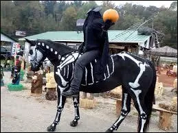 Quel est son nom binominal ?