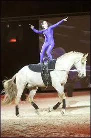 Quelle est son infra-classe ?