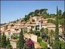 Comment s'appellent les habitants de Bormes les Mimosas ?