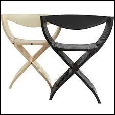 De quoi la chaise curule est-elle constituée ?