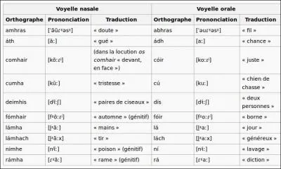 Puis viennent les Gallois, soit "Walsh" en anglais. Mais dans leur langue, comment dit-on ?