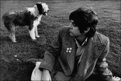 Dans la chanson "A Day in a Life", des Beatles, un son, inaudible par l'être humain, est incorporé à l'intention des chiens !