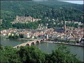 Cinqui&egrave;me ville du L&auml;nder, grande ville universitaire allemande sur le Neckar
