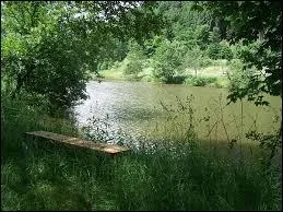 Qui interprète "Au bord de l'eau" dans les années 2000 ?