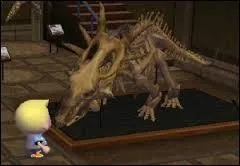 (Difficile) À quel animal appartient ce squelette ?